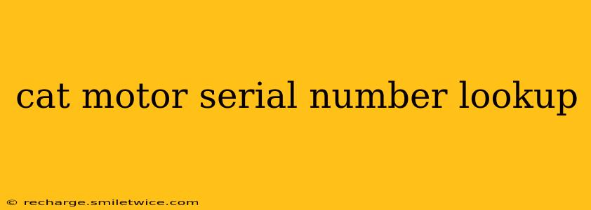 cat motor serial number lookup