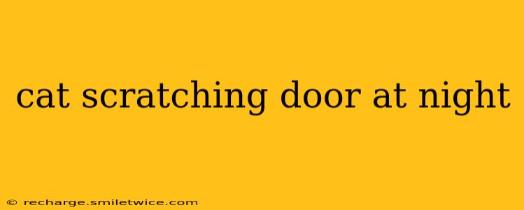 cat scratching door at night
