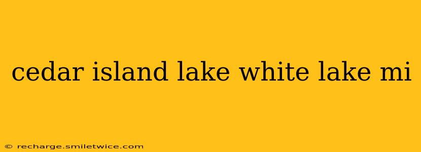 cedar island lake white lake mi