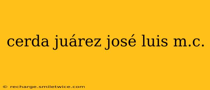 cerda juárez josé luis m.c.