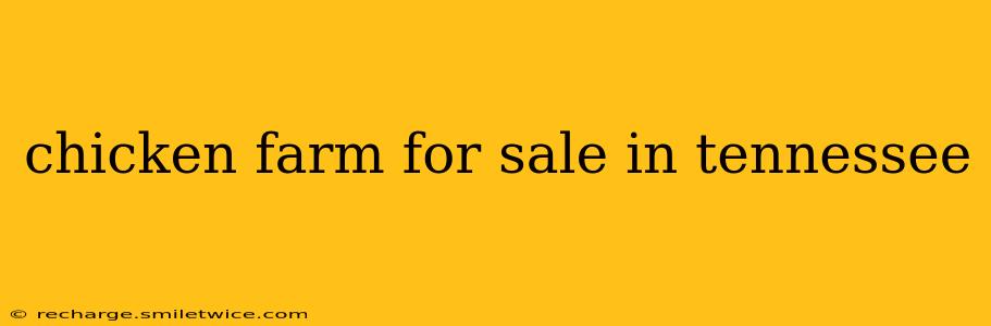 chicken farm for sale in tennessee