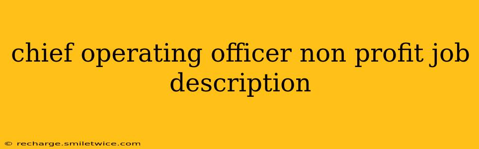 chief operating officer non profit job description