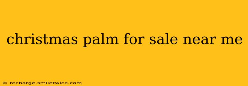 christmas palm for sale near me