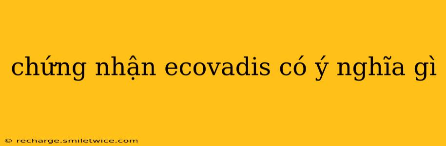 chứng nhận ecovadis có ý nghĩa gì chứng nhận ecovadis có ý nghĩa gì