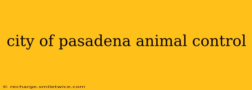 city of pasadena animal control