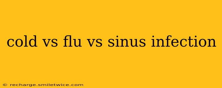 cold vs flu vs sinus infection