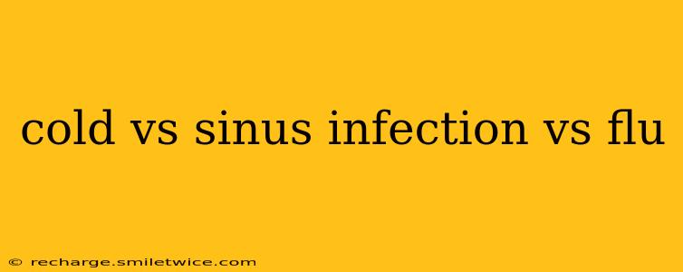 cold vs sinus infection vs flu