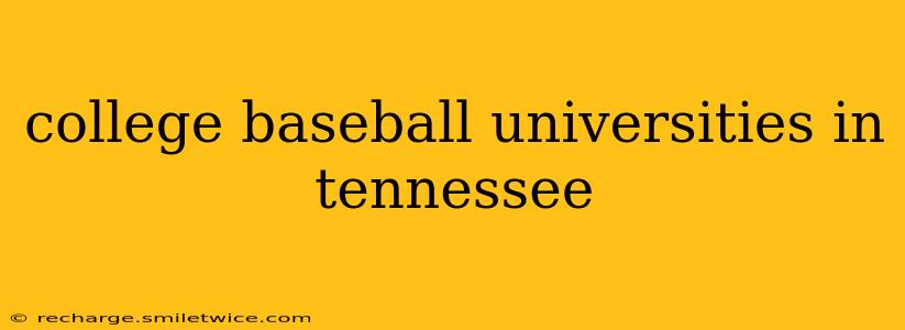college baseball universities in tennessee