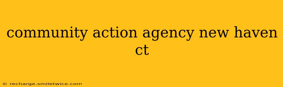 community action agency new haven ct