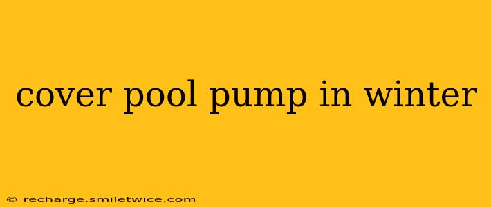 cover pool pump in winter