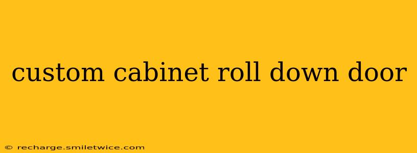 custom cabinet roll down door