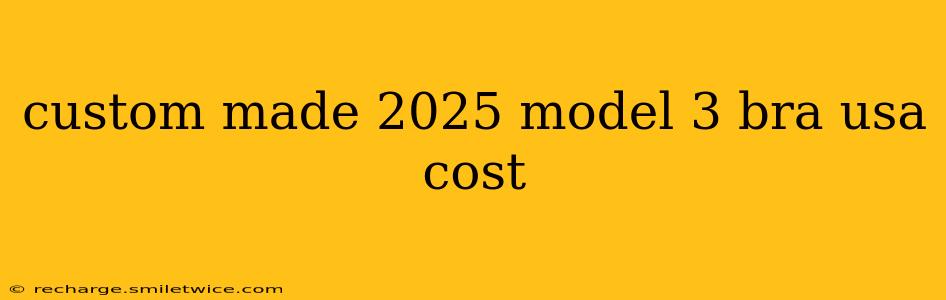 custom made 2025 model 3 bra usa cost