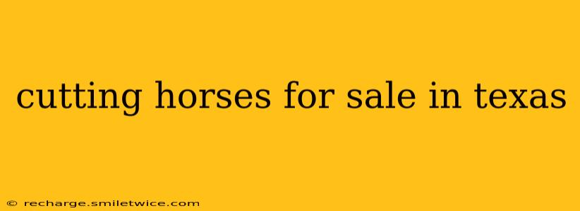 cutting horses for sale in texas