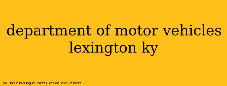 department of motor vehicles lexington ky