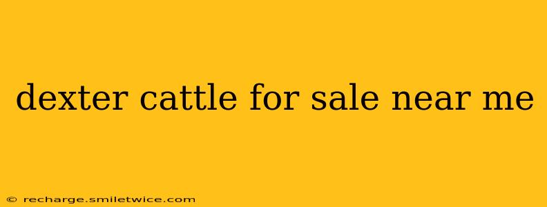 dexter cattle for sale near me