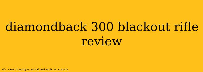 diamondback 300 blackout rifle review