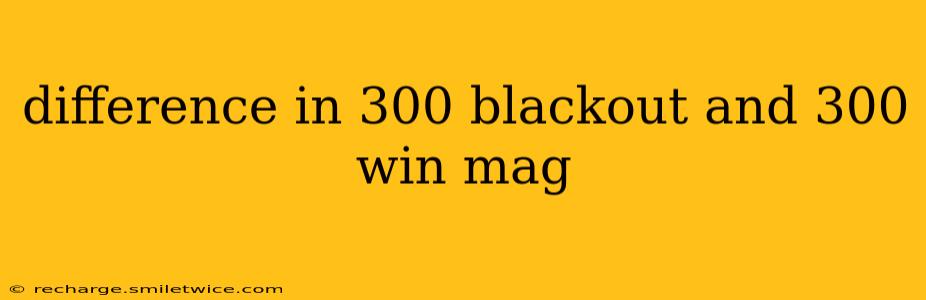 difference in 300 blackout and 300 win mag