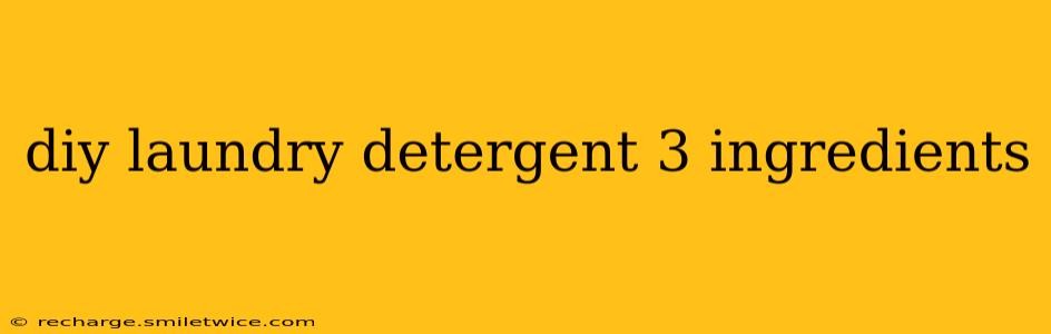 diy laundry detergent 3 ingredients