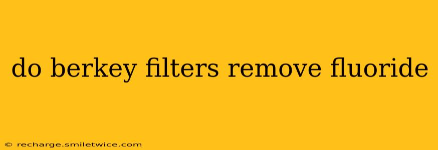 do berkey filters remove fluoride