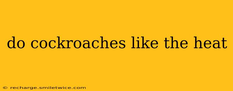 do cockroaches like the heat