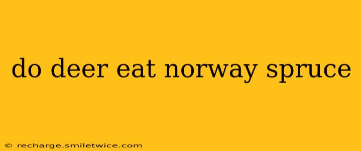 do deer eat norway spruce