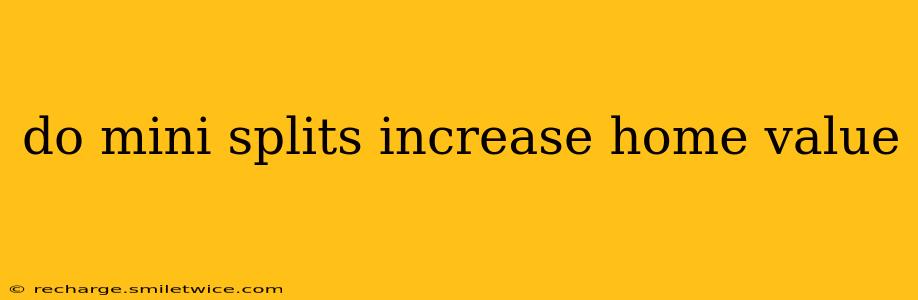 do mini splits increase home value