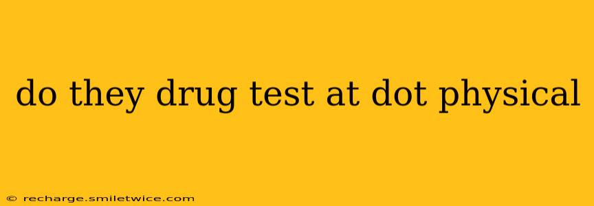 do they drug test at dot physical