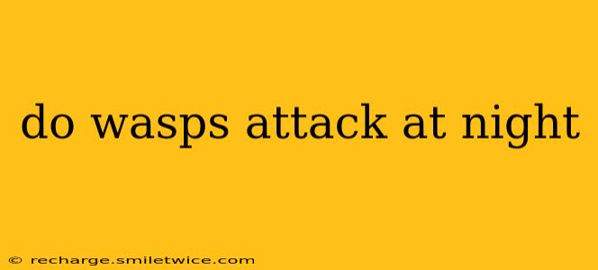 do wasps attack at night