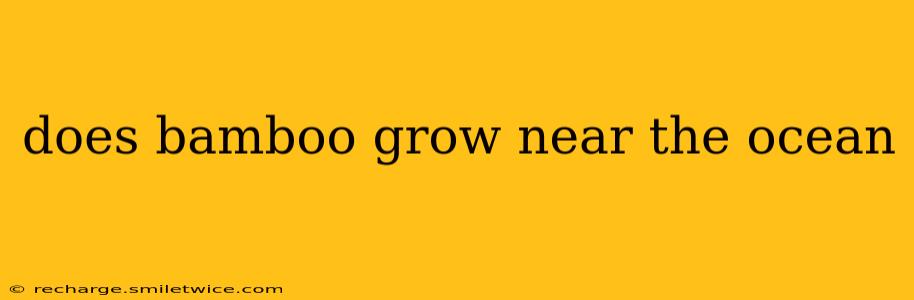 does bamboo grow near the ocean