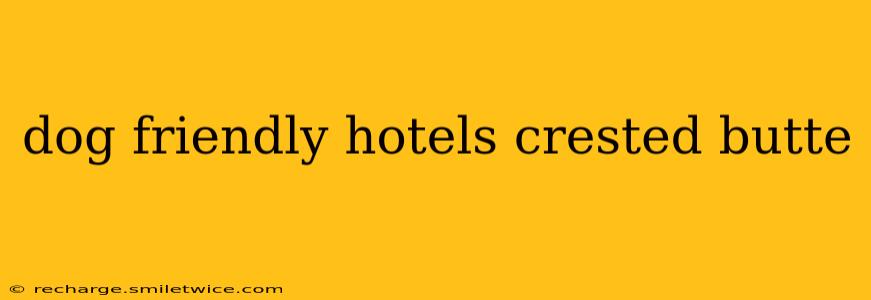 dog friendly hotels crested butte