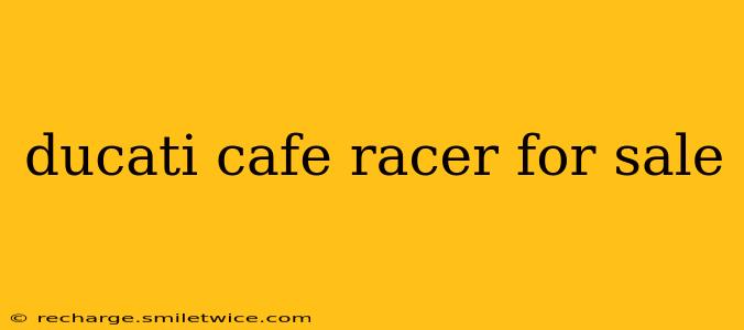 ducati cafe racer for sale