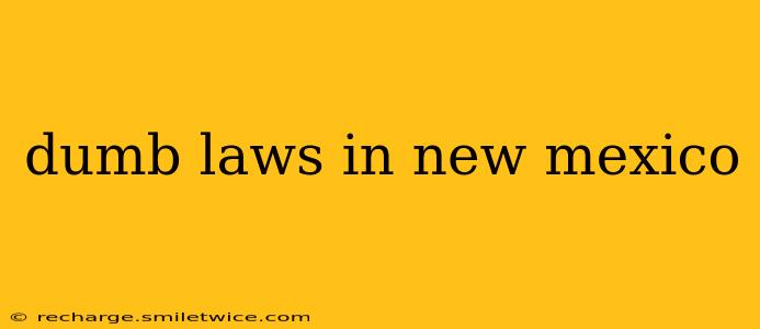 dumb laws in new mexico