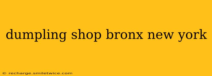 dumpling shop bronx new york