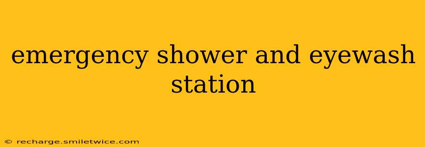 emergency shower and eyewash station