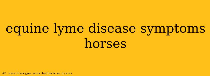 equine lyme disease symptoms horses