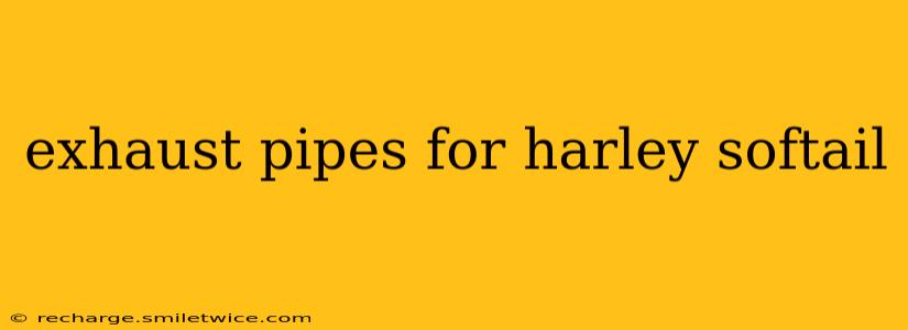 exhaust pipes for harley softail