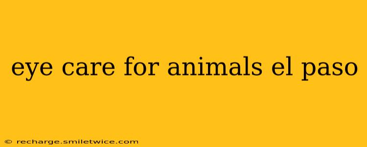 eye care for animals el paso