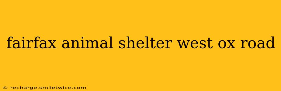 fairfax animal shelter west ox road