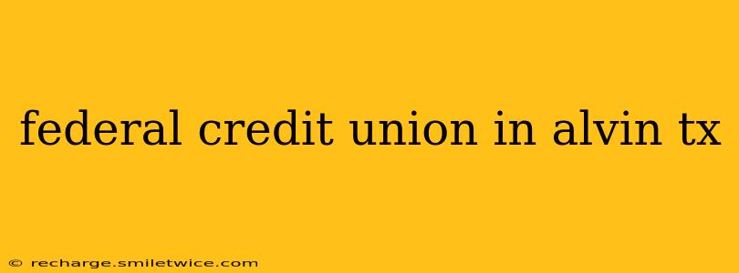 federal credit union in alvin tx