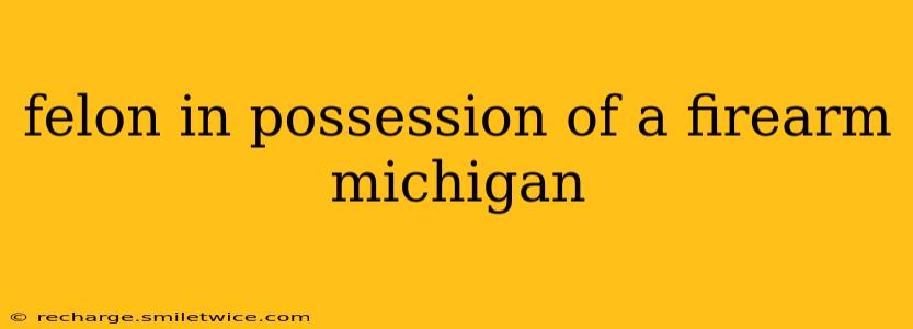 felon in possession of a firearm michigan