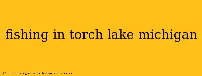 fishing in torch lake michigan