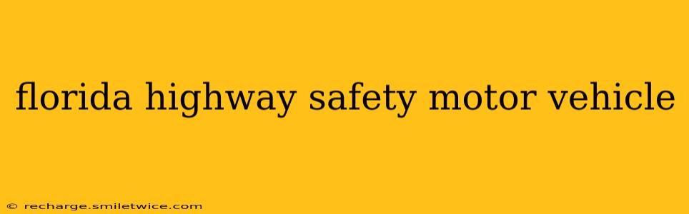 florida highway safety motor vehicle