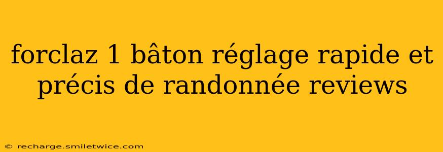 forclaz 1 bâton réglage rapide et précis de randonnée reviews