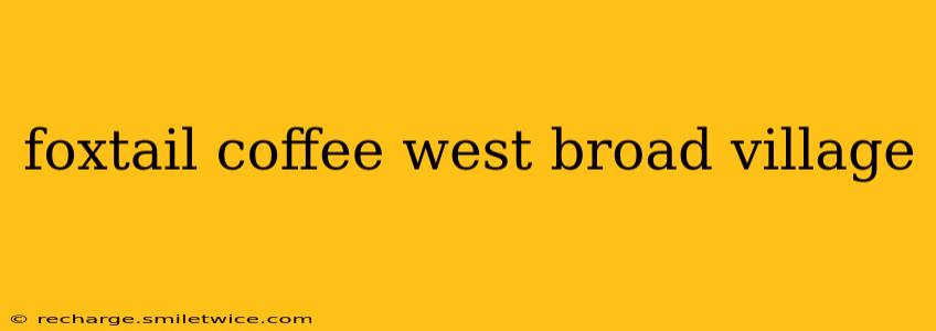 foxtail coffee west broad village