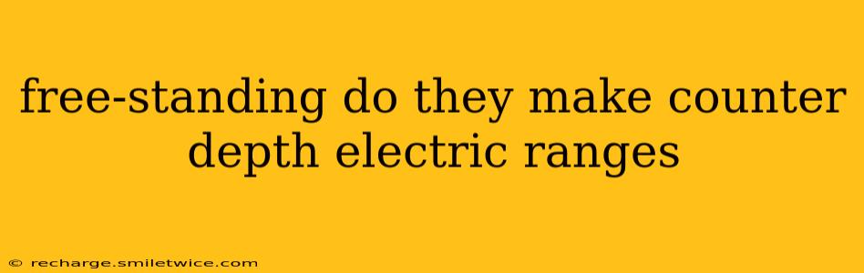 free-standing do they make counter depth electric ranges