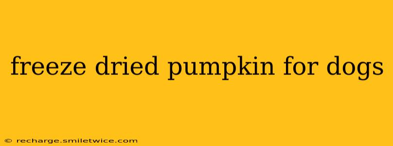 freeze dried pumpkin for dogs
