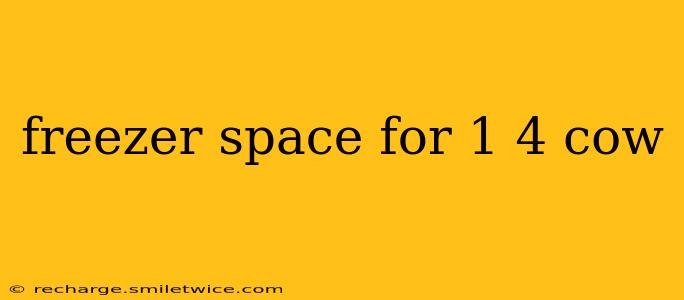 freezer space for 1 4 cow