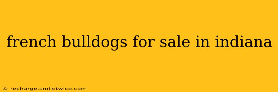 french bulldogs for sale in indiana