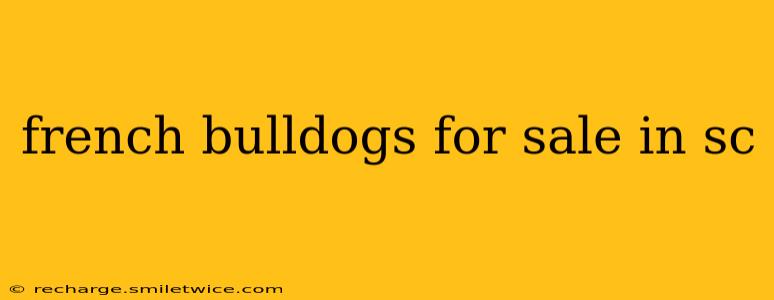 french bulldogs for sale in sc