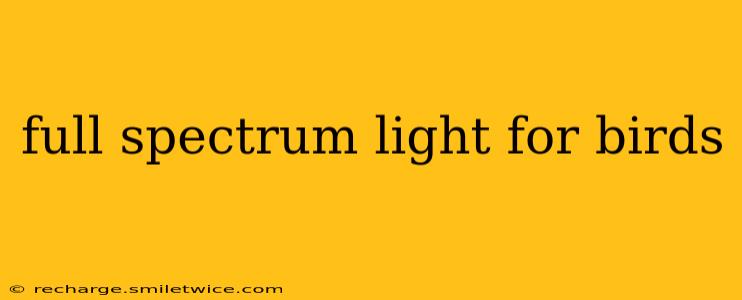 full spectrum light for birds